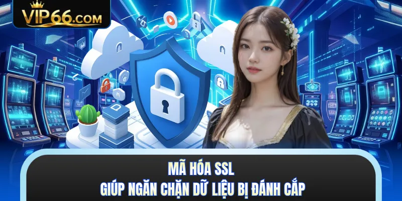 Mã hóa SSL giúp ngăn chặn dữ liệu bị đánh cắp